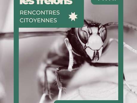 Conférence sur les frelons