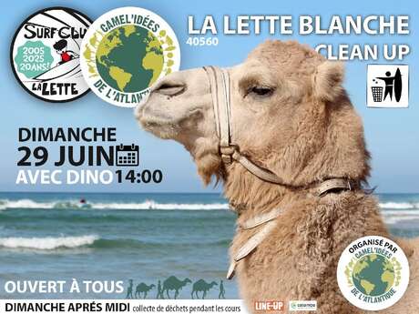 Nettoyage de plage