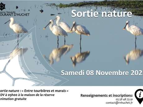 Sortie entre tourbière et marais
