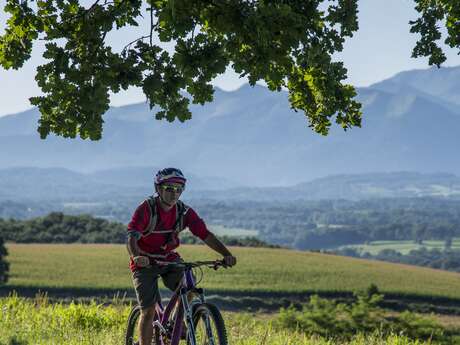 Randonnée VTT Randonnée VTT