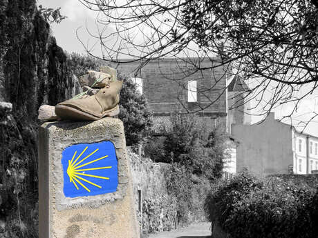Visite à part - Sur le chemin de Compostelle