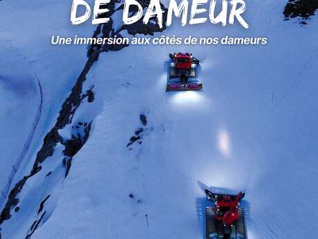 Vis ma vie de dameur