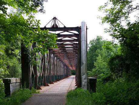 Balade sur l'allée verte