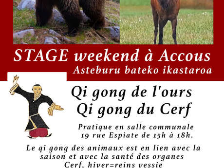 Stage de Qi Gong de l'ours et du cerf