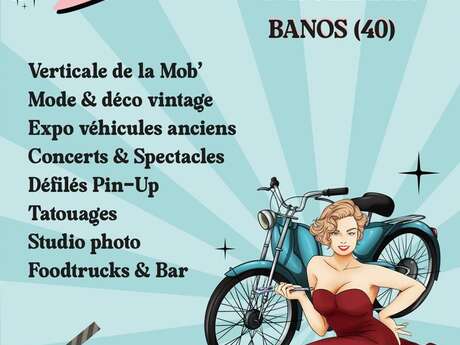 Vintage sur la colline