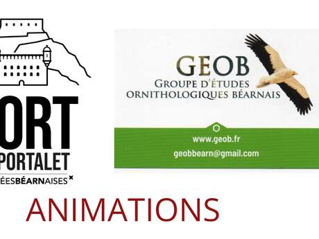 Les Rdv ornithologiques du mercredi