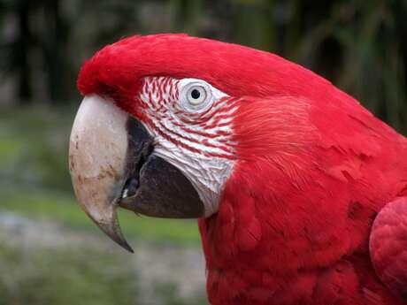 Zoo de Labenne