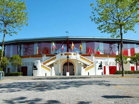 Visite des arènes de la "Mecque de la Course Landaise"