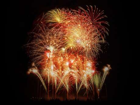 Fiesta de Salies