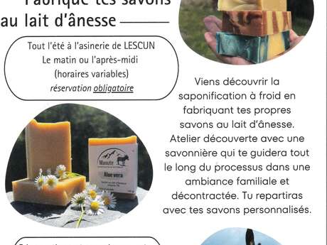 Atelier - Fabrique tes savons au lait d'ânesse.