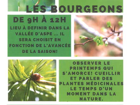 Les cueillettes de mars avec le voyage du Lys