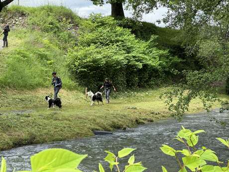 N°18 - Le chemin de la transhumance