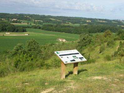 Le Coteau du Moulin