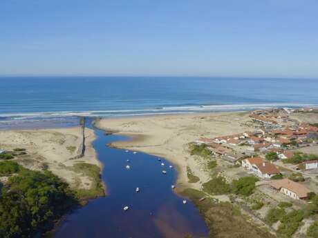 Nettoyage de la plage