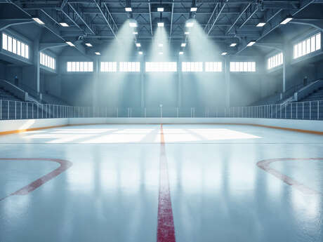 Sortie à la patinoire pour tous