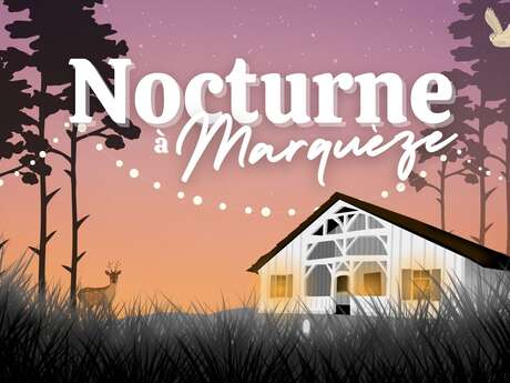 Nocturne à Marquèze