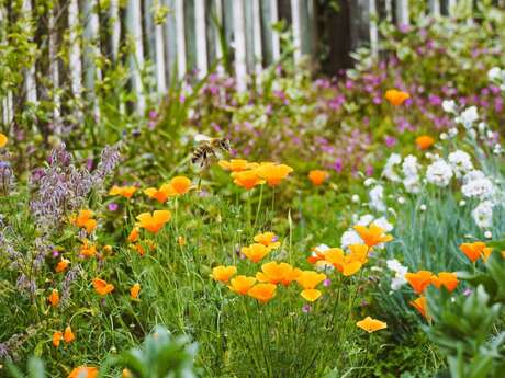 Journée biodiversité et jardins