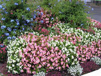 Rendez-vous au jardin : jardin Hortense