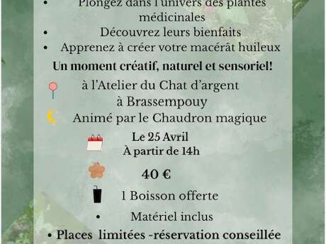 Exploration botanique & création de macérât huileux