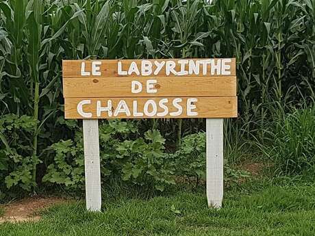 Nocturne au labyrinthe de Chalosse Nocturne au labyrinthe de Chalosse