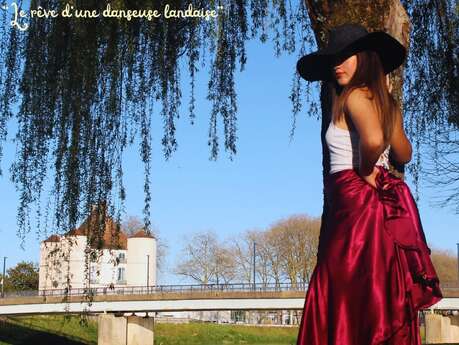Spectacle de danses