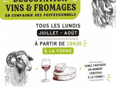 Dégustation vins et fromages en compagnie des professionnels