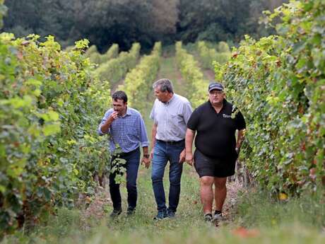 Visite de la Cave des Vignerons de Tursan