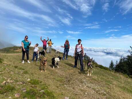 Randonner avec un chien nordique à La Pierre Saint-Martin