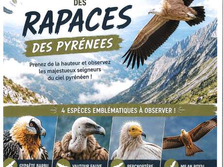 Accompagnement à la découverte des rapaces des Pyrénées