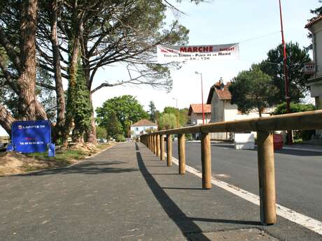 Piste Cyclable Contis-Plage / Saint-Julien-en-Born