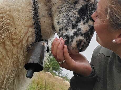 La Ferme de Juliette