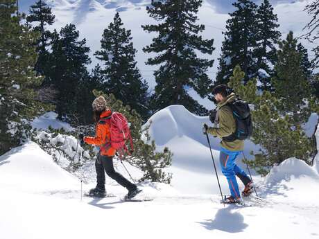 Balade accompagnée en raquettes à La Pierre Saint-Martin