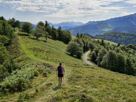 Plateau d'altitude d'Issarbe