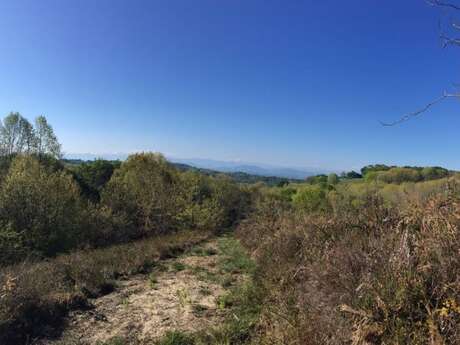 Discover the creatures of the Landes de Peyrautucq