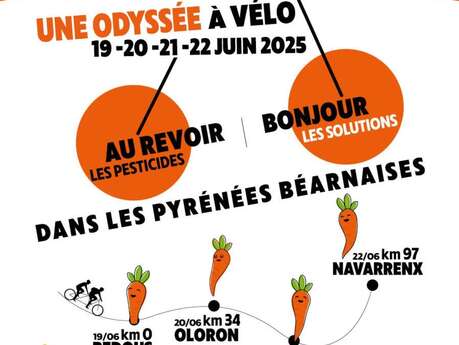 Etape du tour des carottes