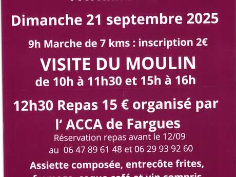 Fête de la coque