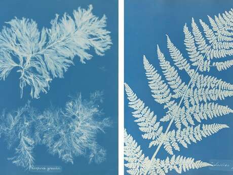 Les ateliers du garage : atelier cyanotype