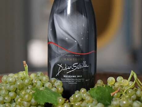 Champagne Didier SÉBILLE Champagne Didier SÉBILLE