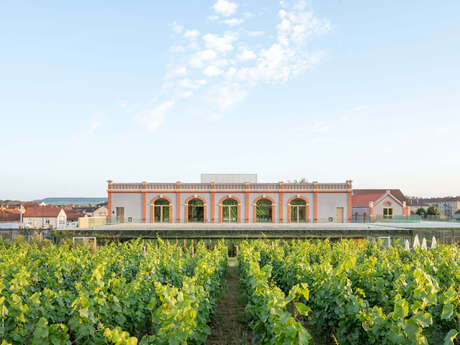 Pressoria - Voyage sensoriel au cœur de la Champagne Pressoria - Voyage sensoriel au cœur de la Champagne