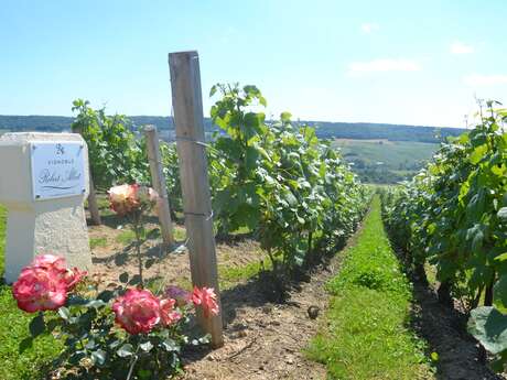Champagne Robert-Allait Champagne Robert-Allait