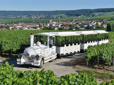 Le Petit train des Vignobles de Champagne Le Petit train des Vignobles de Champagne