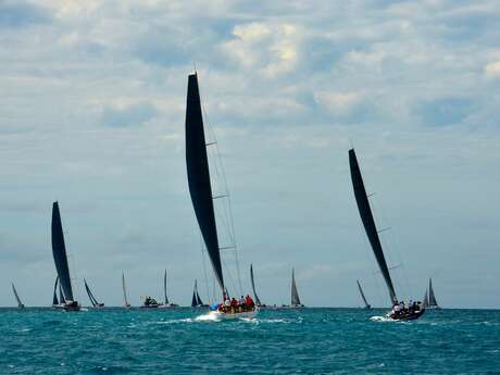 Régate "La Solitaire"
