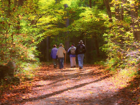 Le sentier des écoliers Le sentier des écoliers