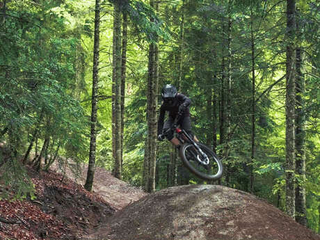 FABIAN BIKE CENTER - VTT – SENTIER TRANSFRONTALIER FABIAN BIKE CENTER - VTT – SENTIER TRANSFRONTALIER