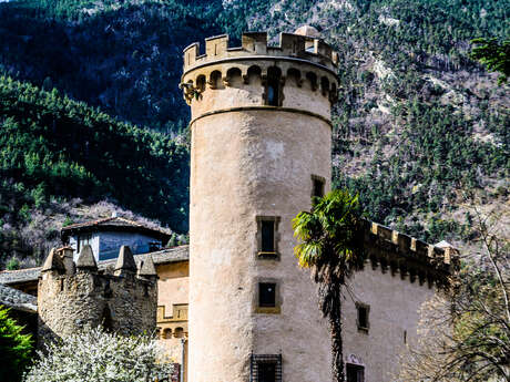 LE CHATEAU DE NYER