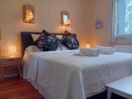 APPARTEMENT SAINT MARTIN DU CANIGOU