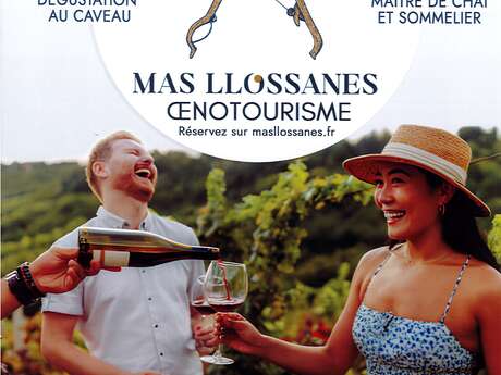 MAS LLOSSANES : GRAND TOUR DU DOMAINE