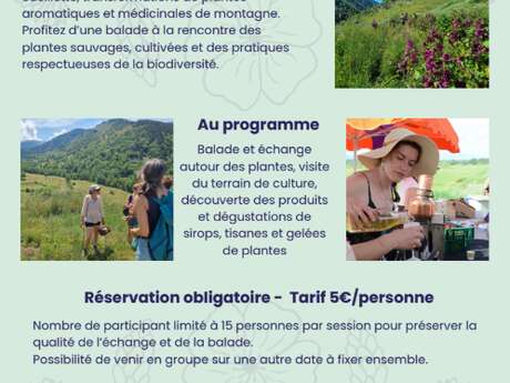 BALADE DÉCOUVERTE ET DÉGUSTATION À MANTET