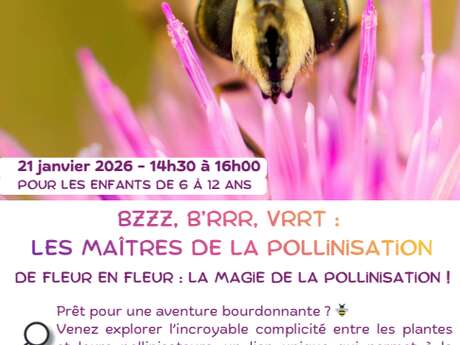 NATURE EN TÊT: BZZZ, BRRR, VRRT LES MAÎTRES DE LA POLLINISATION!