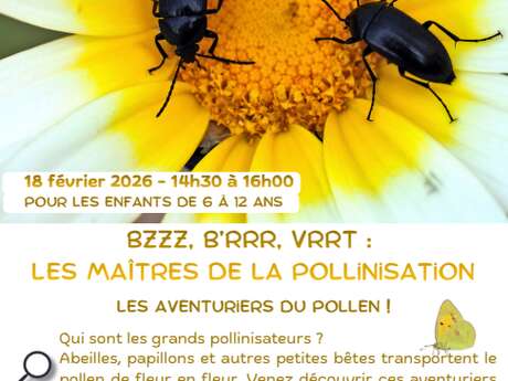 NATURE EN TÊT: BZZZ, B'RRR, VRRT: LES MAITRES DE LA POLLINISATION!